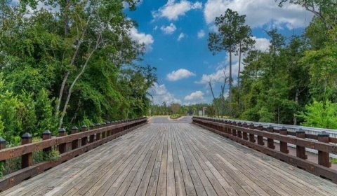 Lot 35 Blk C Spirit Bear Way